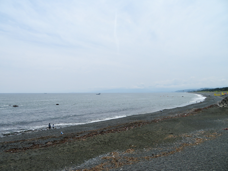 IMG_2804.jpg