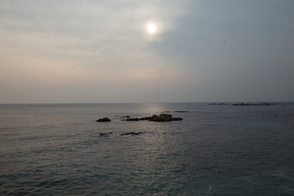 IMG_3449.jpg