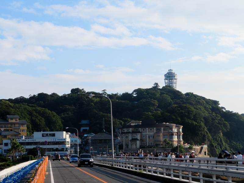 IMG_4181.jpg