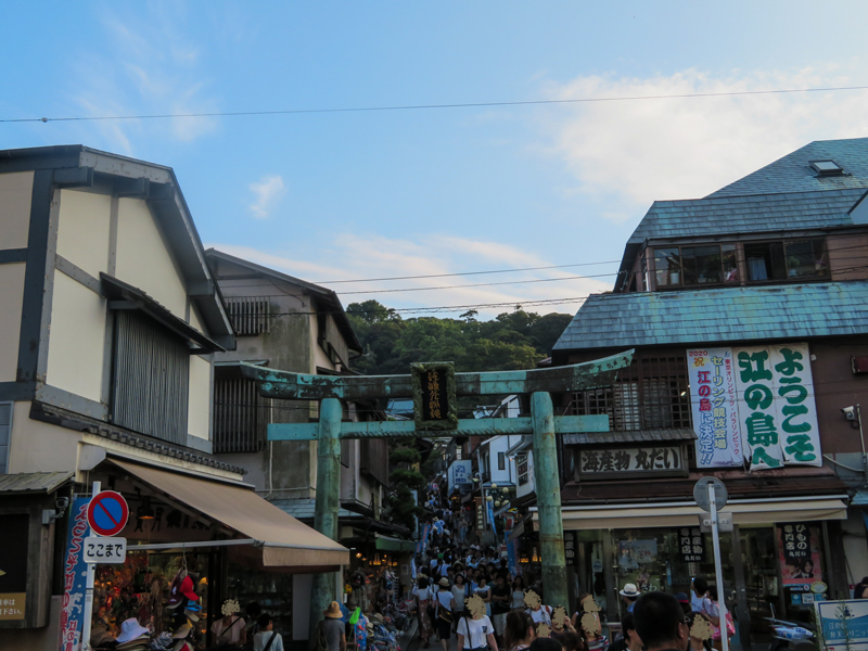 IMG_4238.jpg
