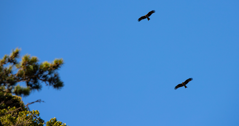IMG_80342021-4-10.jpg
