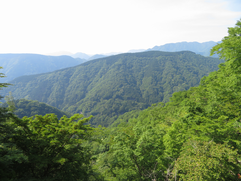 hadanotougerindou018.jpg