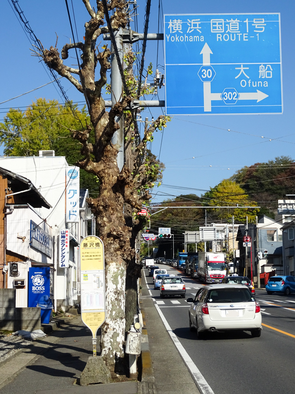 yokohamakamakura161125000.jpg