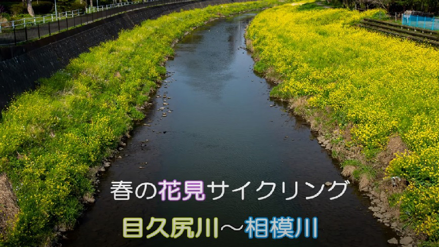 yotubeよう202103末_.jpg